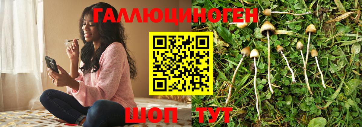 Учалы  Псилоцибиновые грибы MAGIC MUSHROOMS  Вход с VPN  где можно купить наркотик  Галлюциногенные грибы мухоморы 